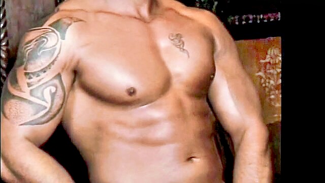 cock, solo, french - quentin french stallion