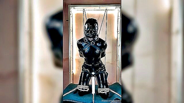bondage, amateur, latex - latex bondage collaredfeline