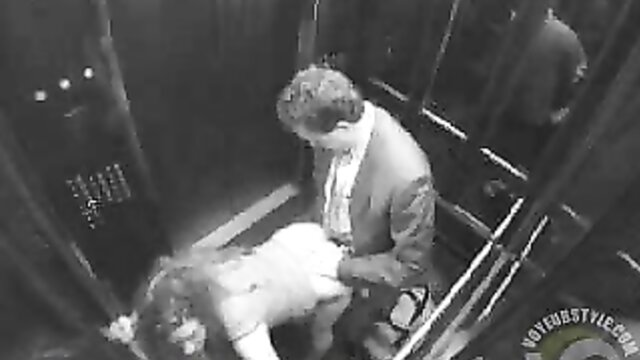 fucking, public, doggystyle - elevator doggystyle fuck