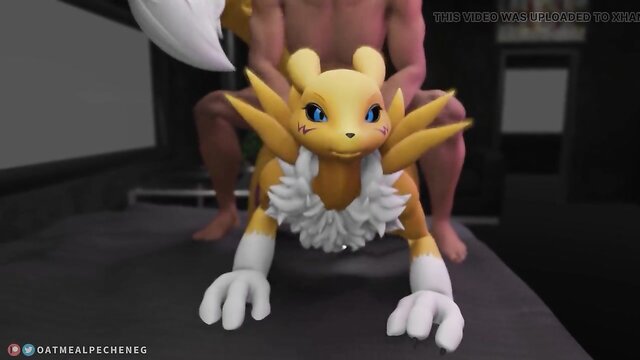 3d animation, 3d hentai, animation - furry renamon porn