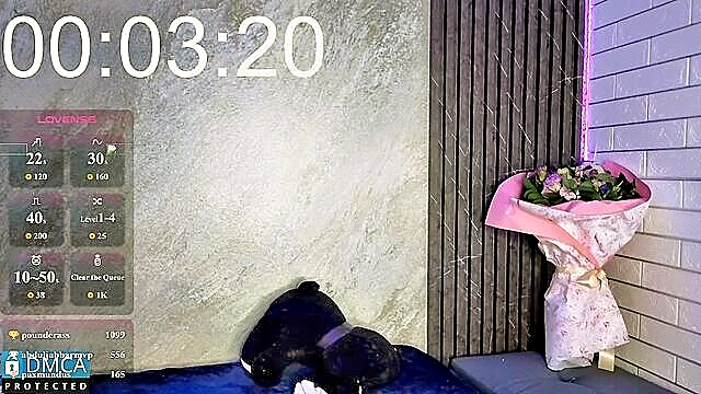 solbeaumont - chaturbate solbeaumont slave