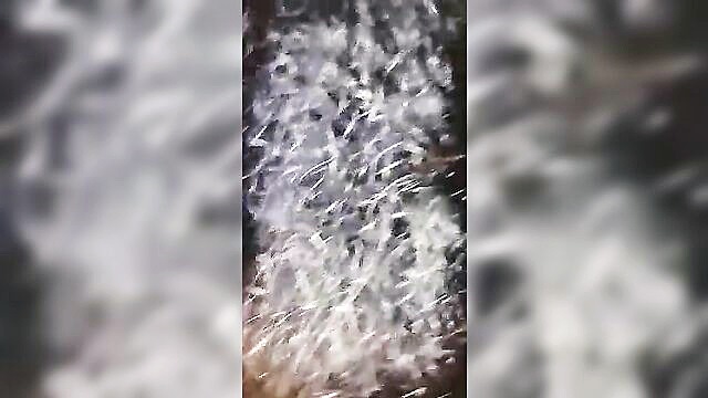 shemale blowjob, amateur, blowjob - tamil thirunangai xnxx
