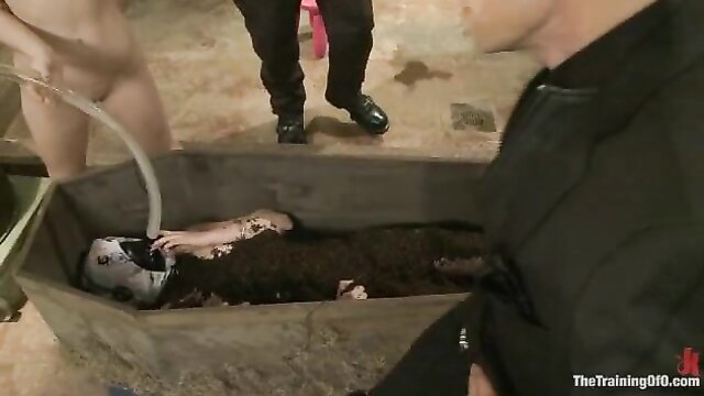 beating, bound, brunette - domina training extreme humiliation