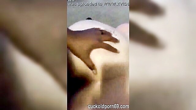 bbc (big black cock), bbc, milf - white wife juicybelle