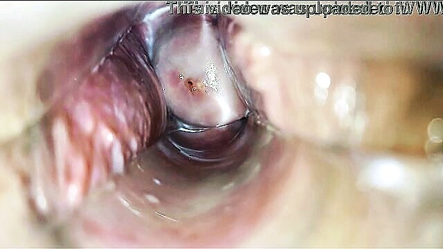 porn video, masturbation, orgasm - lesbian speculum porn
