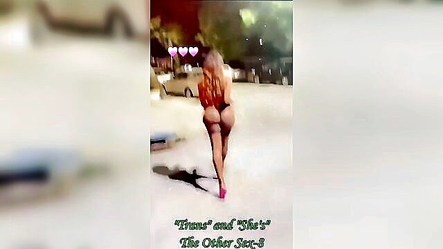 amateur, compilation, big ass - translovemaking ebony xxx