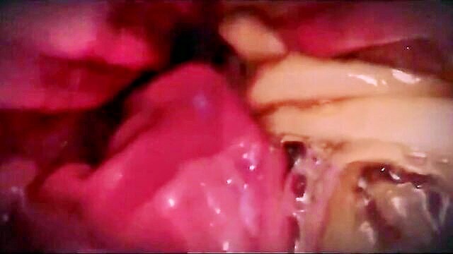 vore, pov, digestion - vorceousurrency fiance delivery