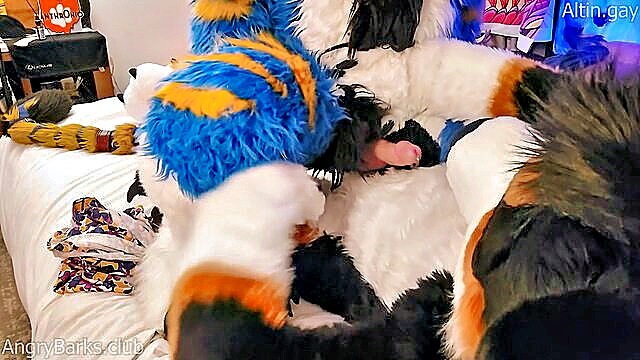 AngryBarks - monstrous mutt trains kitten