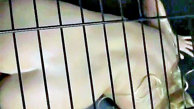 blonde, cage, amateur - caged sex with blonde