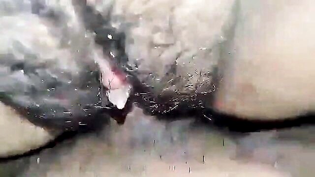 nepali kanda, nepali homemade, asian - hairy nepali pussy