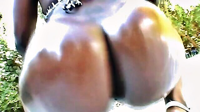 ebony big boobs porn, big pornstar tits, big tits - kelly star big tits porn