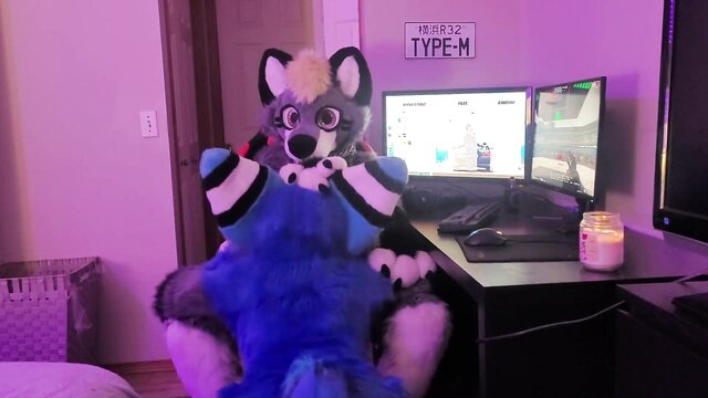 furry girl, furry, pov - hairy gamer inhaled by hot cub