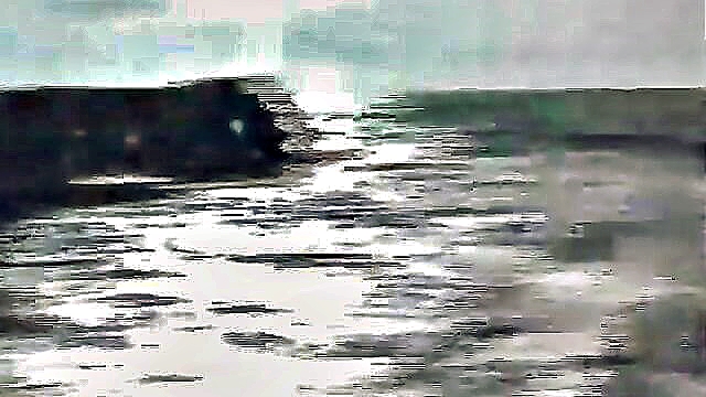 nudist girl caught by guys accidental erection on beach : anderson_bergstrom
