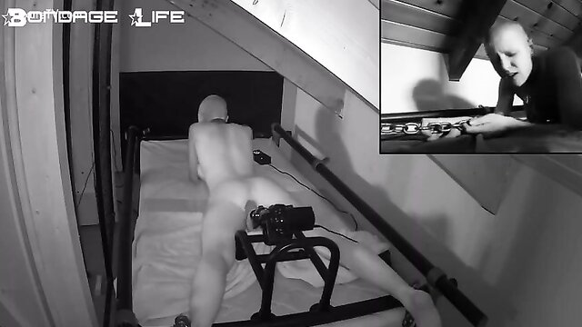 bondage, slave, bondage life - rachel greyhound bondage sex