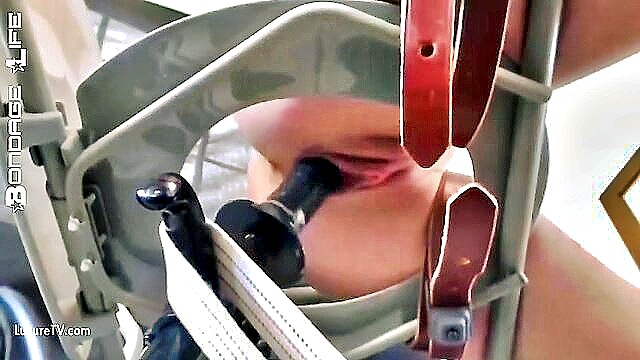 anal, bondage, masochism - greyhound gets fucked hard