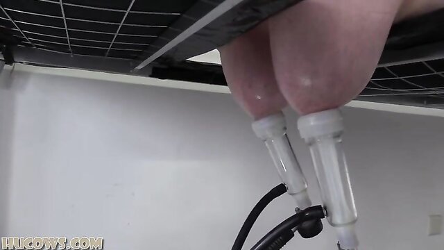 breast pump, hucows, breast milk - hucow 69 arrival