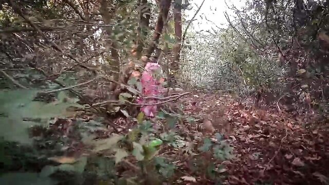 indian bhabhi outdoor sex : xxxSejal