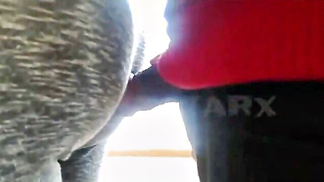 public, ass, groped - guy ass groping porn