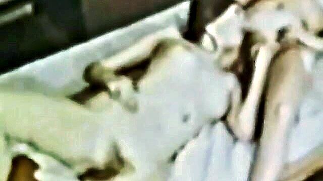 young and lusty vintage porn : Pussycat (Denmark)