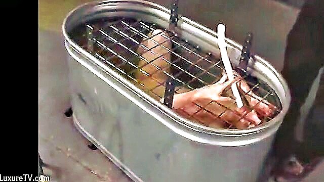 wax torture, unknown, bondage - women punished for sluts behavior