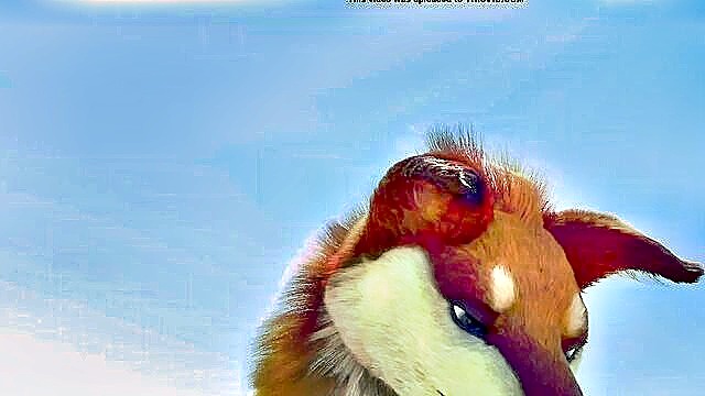 video, animation, vore - dangernoodle vore animation
