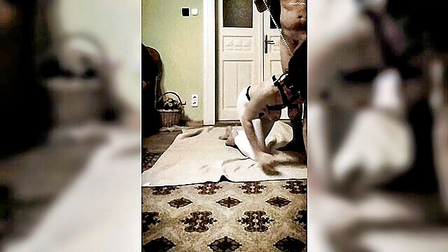 pet play, slave, amateur - dog walking fetish slave play