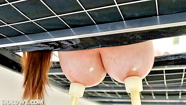 bdsm bondage, bdsm, hucows - hucows jada sparks nipple play