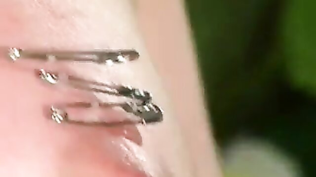pain, bizarre adult club, needles - bizarre adult club lash pins