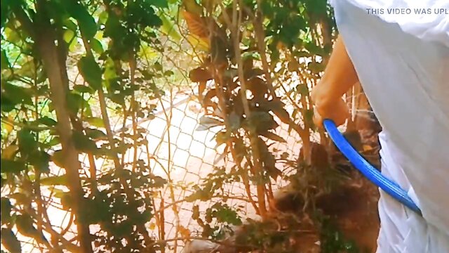 back, beautiful girl sex, beautiful - sri lankan babe bath