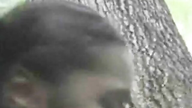 woods, ass, black - big black ass sex in woods
