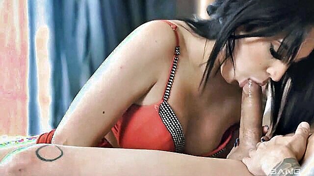 brunette, amateur, blowjob - tattooed brunette rides cock