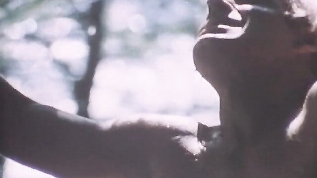 retro summer heat essex video : Essex Video