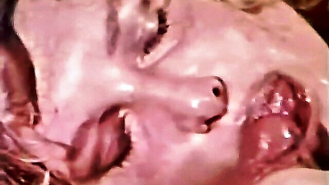 european, vintage, compilation - peepshow blowjob loop