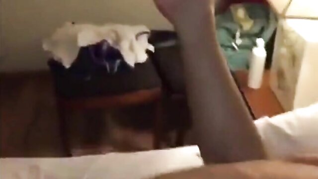anal, amateur, asian - phat stiffy condomless jap sex