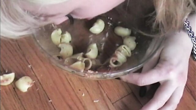 benson, petgirls, petal - pet girls pet training