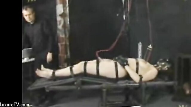 slave, bondage, insex - insex bondagemilking