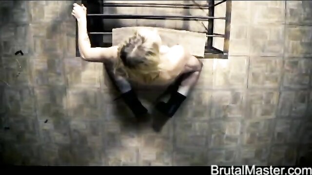 brutal, brutal master, pain - pig tits nailed brutality