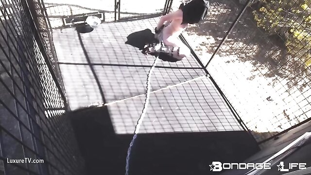 bondage, slave, bondage life - rachel greyhound hogtie