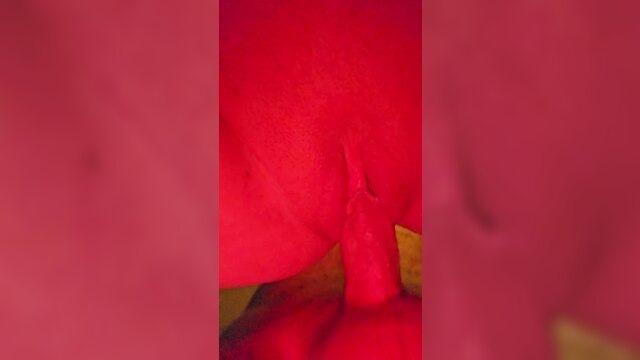 big cock, cream pie, female orgasm - amateur couple orgasm creampie