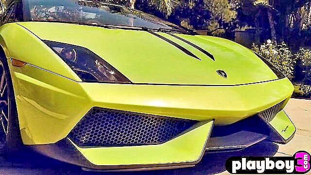 Summer Day, Aaliyah Love, Summer - babes in lamborghinipaginator