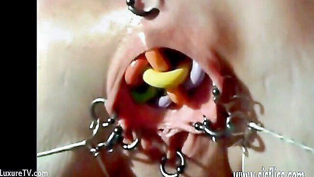weird insertions, fisting, sicflics - sicflics mature pussy