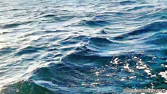 island, thinyone, escape - thinyone island escapade