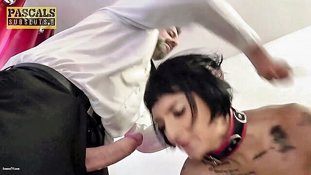 masochism, pascals subsluts, whipping - pascalssubsluts inked Candy Scott