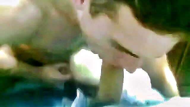blowjob, amateur, big cock - nice facial scene