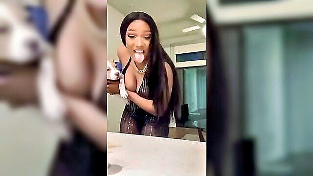 celebrities, big tits, amateur - meghan the stallion nipslip
