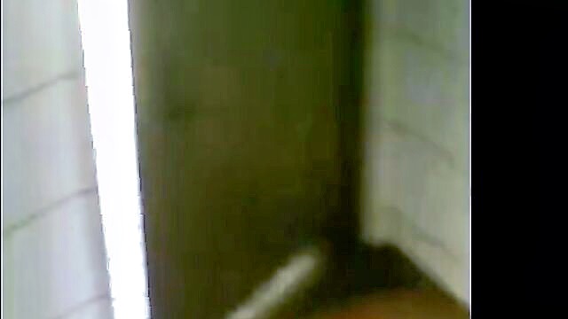 toilet, urinal, public - german rest room sex