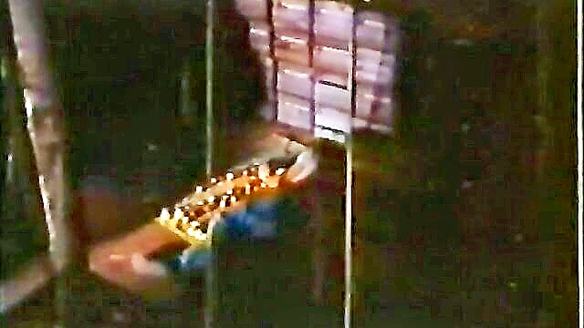 classic hairy porn 1976 : Alpha Blue Archives