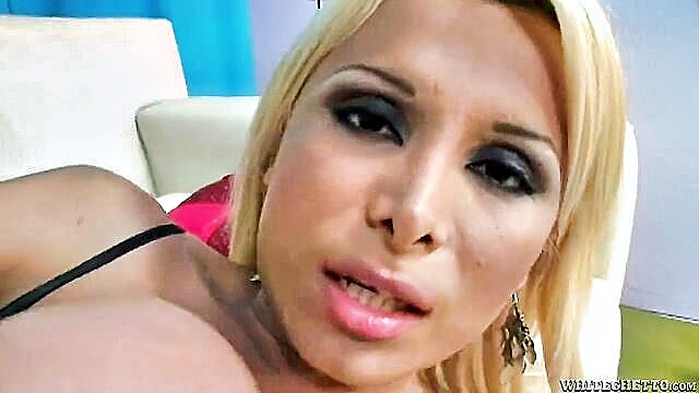 Sheyna - transsexual roadtrip sheyna Transsexual Roadtrip