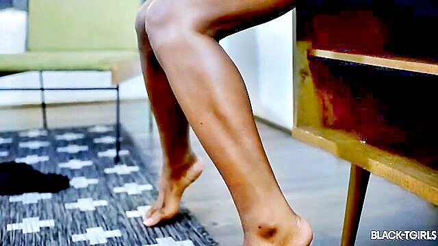 The Queen, Candi Love, Wynter, Wendy, Kayla Biggs, Mocha, Valeria Atreides - blacktgirls ass sex Black TGirls