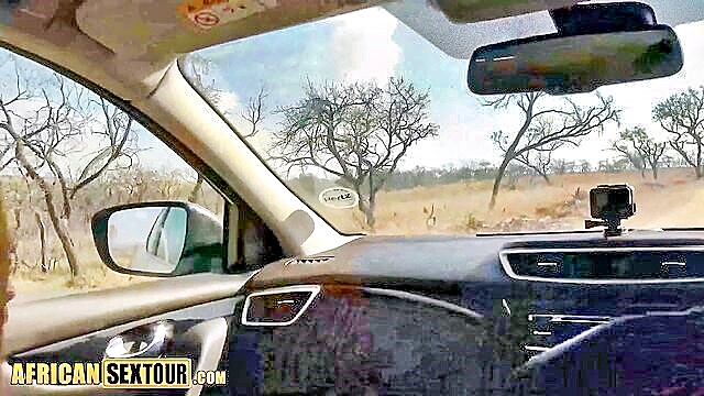 tits, big ass, big ass teen - african teen blowjob in car